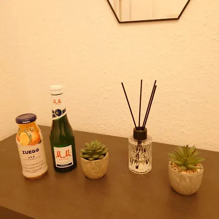 Federtraum Mit Sauna, Sehr Gemuetlich 德累斯顿