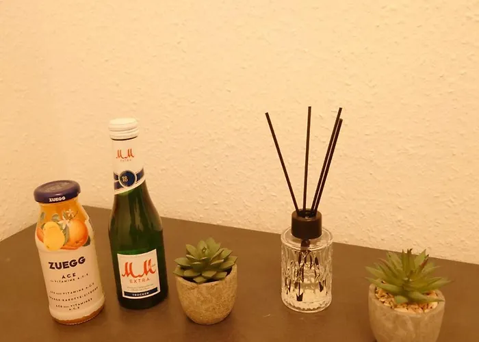 Federtraum Mit Sauna, Sehr Gemuetlich Dresden