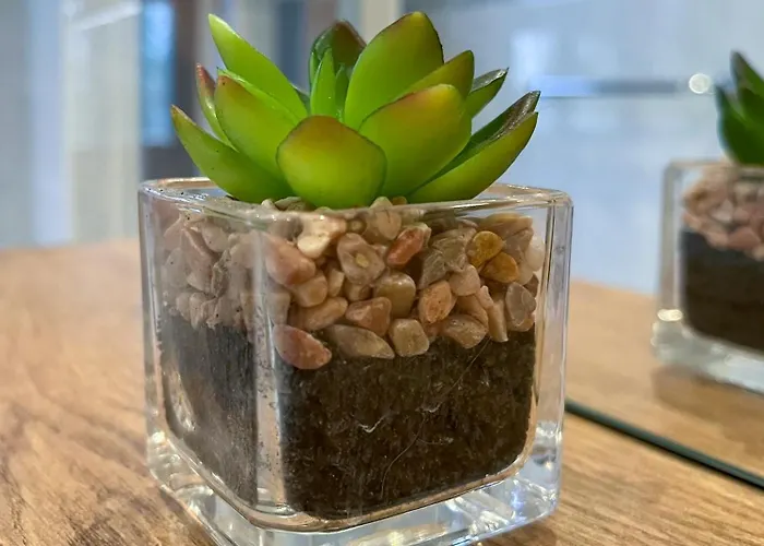 Federtraum Mit Sauna, Sehr Gemuetlich Apartment *