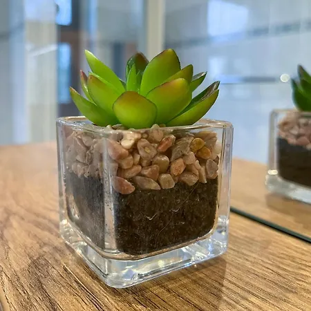 Federtraum Mit Sauna, Sehr Gemuetlich شقة *